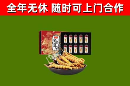 新密市回收冬虫夏草价格