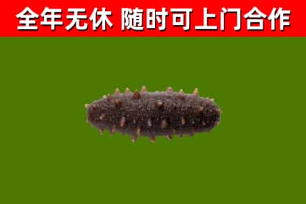 新密市烟酒回收干海参.jpg
